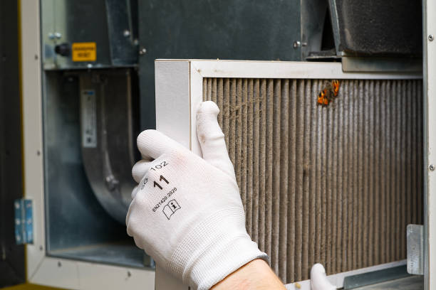 Best Professional Duct Cleaning Services  in Gerdine, AL
