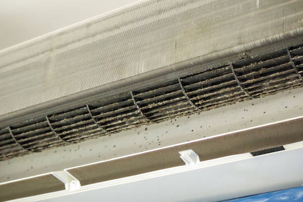 Best Best Air Duct Cleaning Company  in Gerdine, AL
